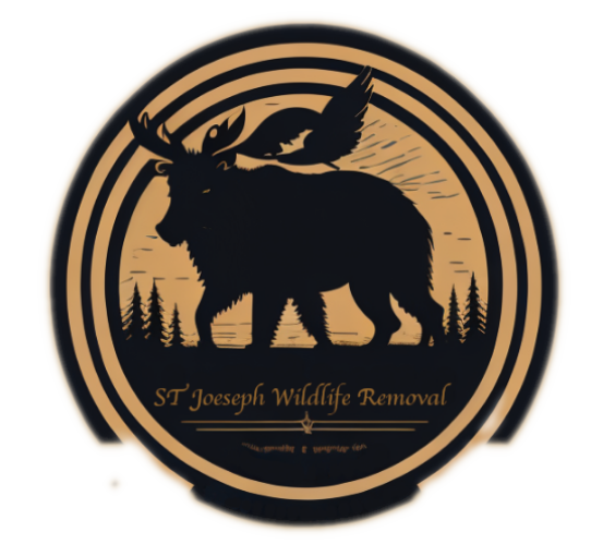 St Joseph Wildlife Removal LLC